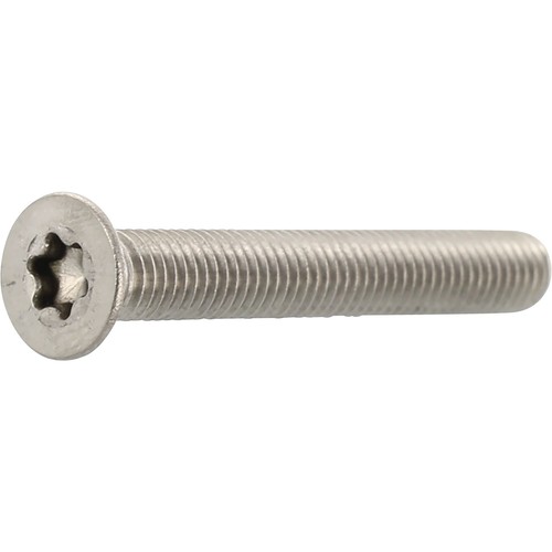 Senkschrauben torx iso14581 - torx, 30